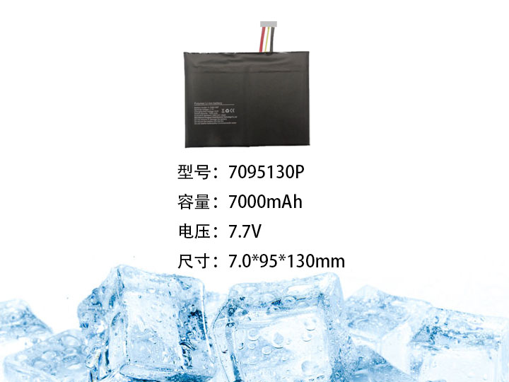 7095130P.jpg
