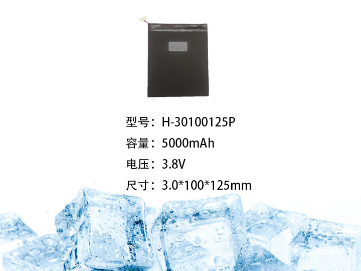 H-30100125P.jpg