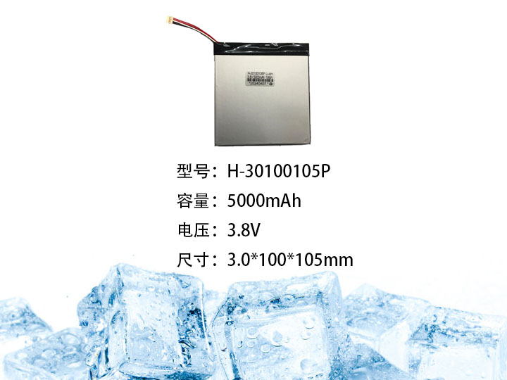 H-30100105P.jpg